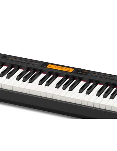 casio cdps 350