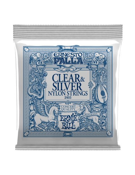 Stygos kl. gitarai Ernie Ball 2403 Silver 28-42