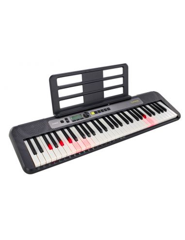 casio lks250 keyboard