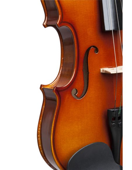 4/4 Violin Stagg VN-4/4 + case