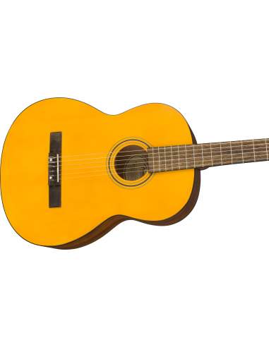 fender acoustic esc 105