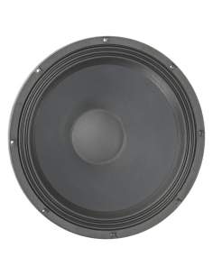 speaker for guitar and bass