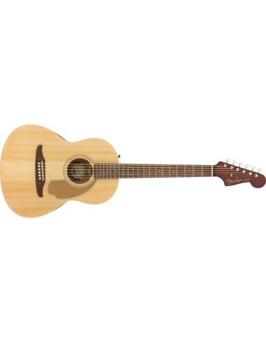 esteban limited edition acoustic electric guitar