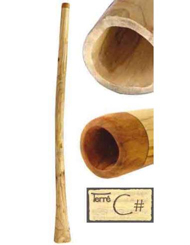 Didgeridoo Teak Cis