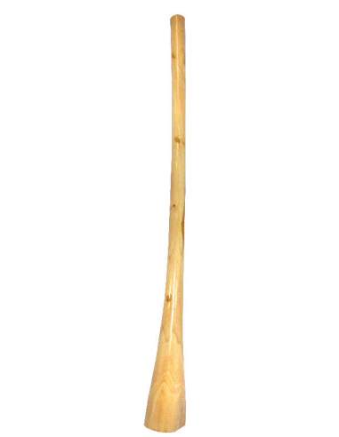 Didgeridoo Teak F