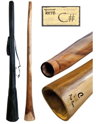 Didgeridoo Eucalyptus C-