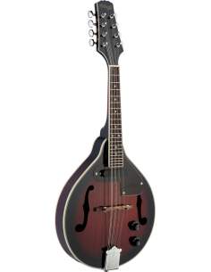 electro acoustic mandolin