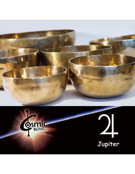 Planetary singing bowl Terre