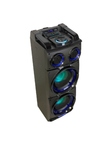 300 w speaker