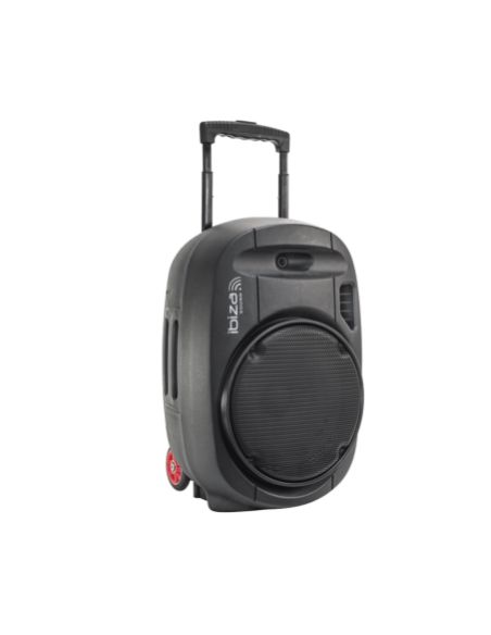 Portable sound system IBIZA PORT15UHF-MKII