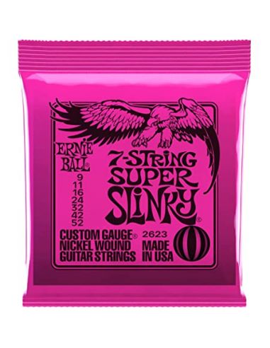 Stygos el. gitarai Ernie Ball P02623