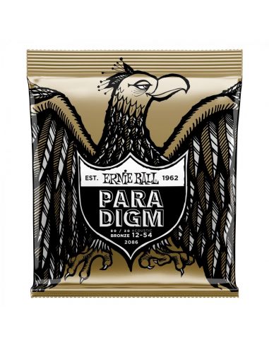 Ernie Ball P02086