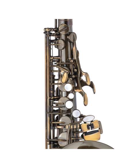 Eb Alto Saxophone, in soft case