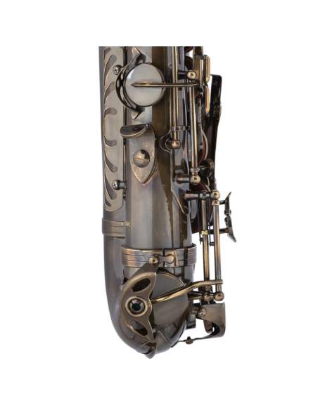 Eb Alto Saxophone, in soft case