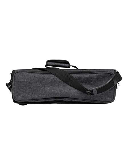 Bag for flute, grey