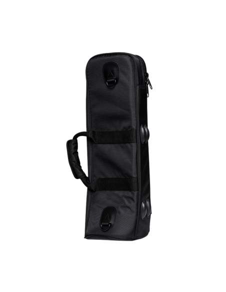 Bag for trumpet, black