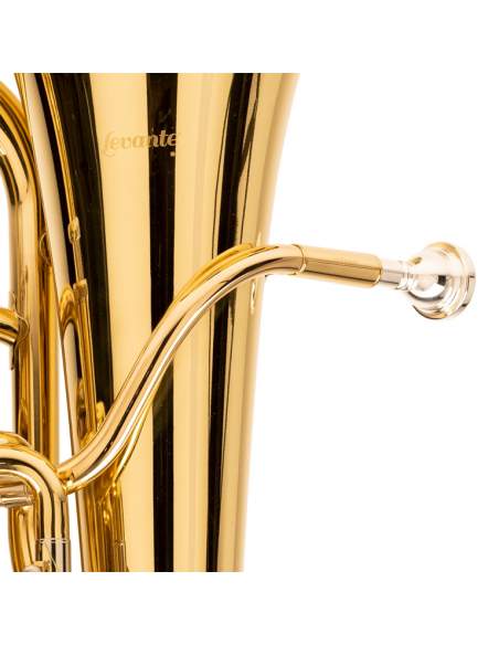 Bb euphonium, compensating system, with soft case