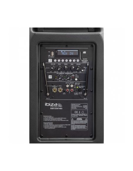 Portable speaker IBIZA PORT15VHF-MKII