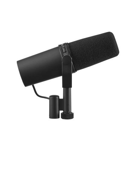 Shure SM58SE