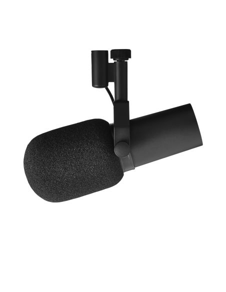 Shure SM58SE