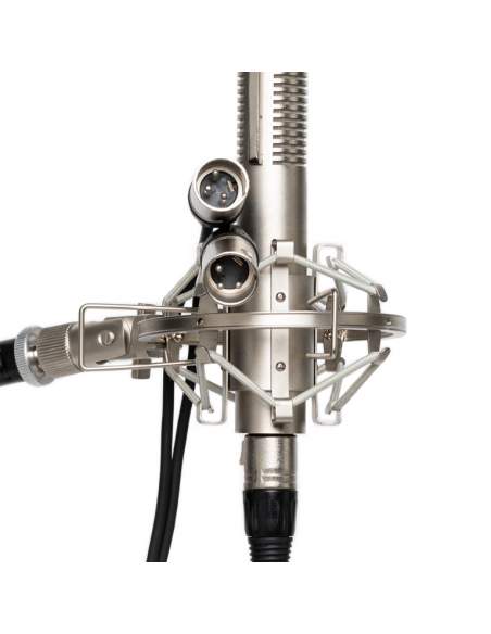 Stereo ribbon microphone