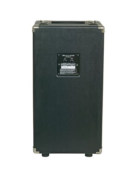 Kolonėlė bosinei gitarai (kabinetas) Ampeg SVT-210AV