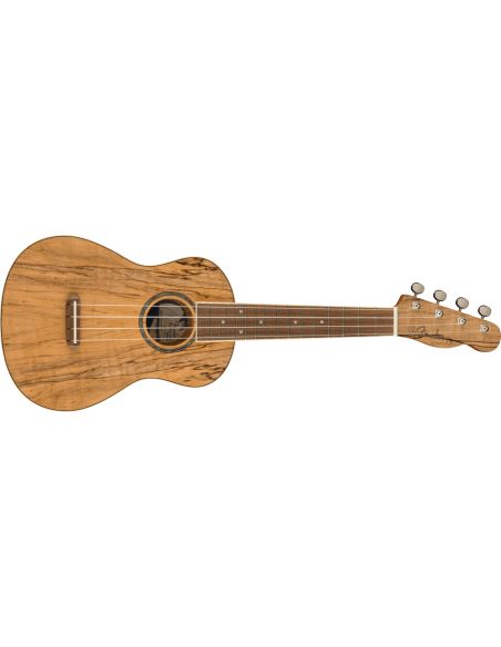 Concert ukulele Fender Zuma Exotic, Natural Spalted Maple