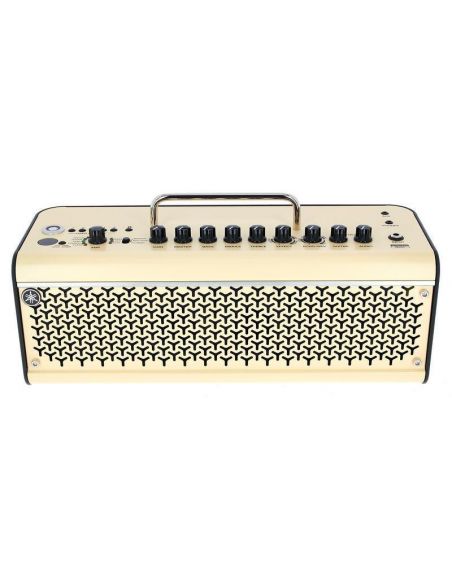 Guitar Amplifier THR30II WIRELESS