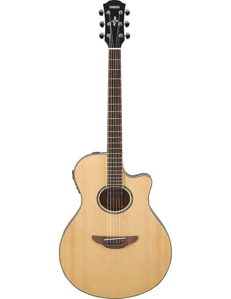 El. Acoustic Guitar APX600