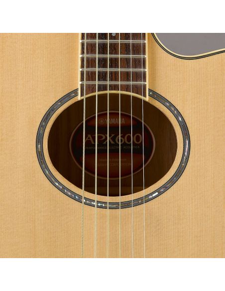 El. Acoustic Guitar APX600