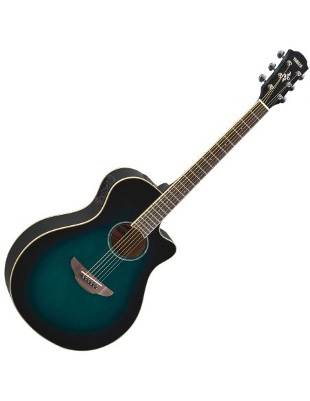 El. Acoustic Guitar APX600