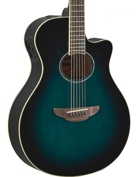 El. Acoustic Guitar APX600