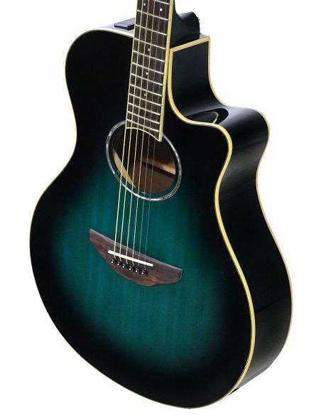 El. Acoustic Guitar APX600