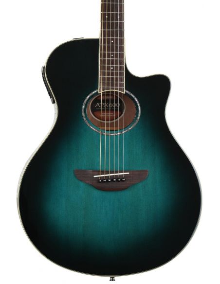 El. Acoustic Guitar APX600