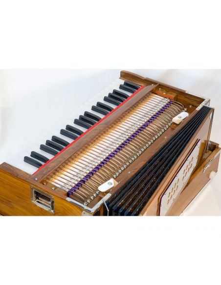 Harmonium Terre 42 keys 432Hz