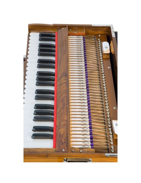 Harmonium Terre 42 keys 440Hz