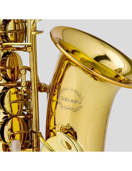 F alto saxophone Valencay CAS-22 Alto