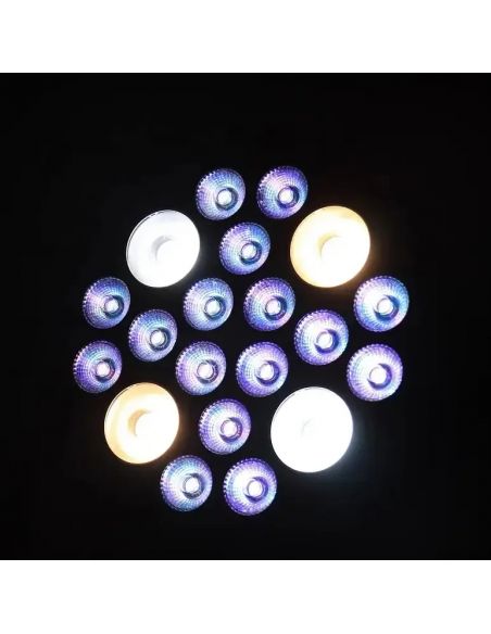 LED PAR Free Color P16+4