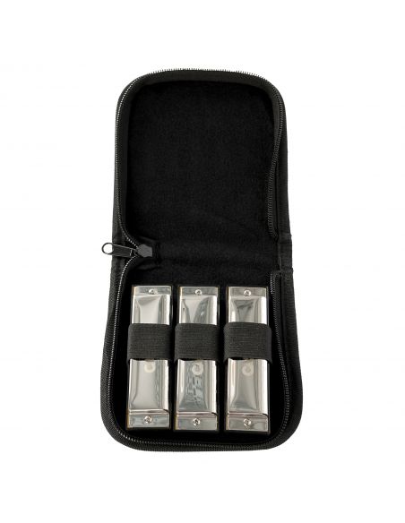 Blues Harmonica Set Case Cascha HH 2297