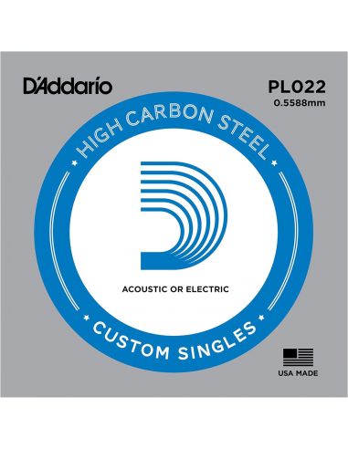 Styga akustinei / elektrinei gitarai D'Adario PL022 .022