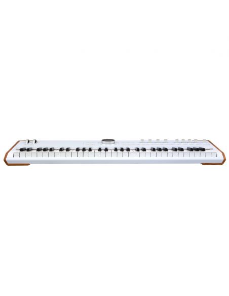 Stage keyboard Arturia AstroLab