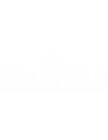 Svanfield Oy​